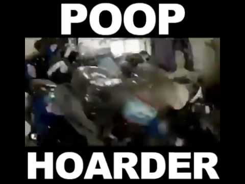 Job 30:5.........esau (so-called whites) are truly beasts