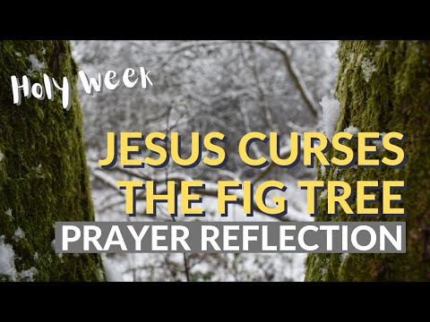 JESUS CURSES THE FIG TREE PRAYER REFLECTION - Matthew 21:18-22 - Easter Reflections for Holy Week