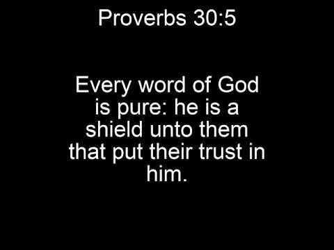 Proverbs 30:5 Song (KJV Bible Memorization)