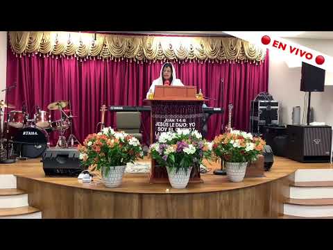 La pelsa falsa ( Daniel 5:23-30 )