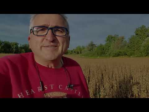 2020-09-14 Video Encouragement from Mark 2:23-28