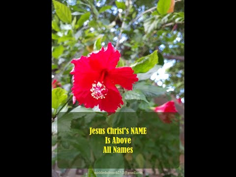 Jesus Christ's Name Is Above All Names in  Nehemiah 9:5b and Philippians 2:9-11 #NAMEAboveAllNames