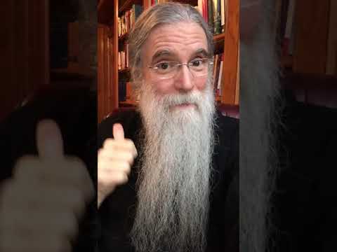 5th Sunday of Ordinary Time (Cycle B) - Mark 1:29-39 - JMT Gospel Reflection