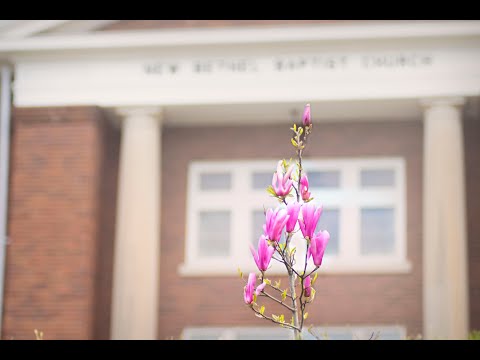 August 7th, 2022 Communion Sunday Morning Worship  -  Genesis 1:1-5