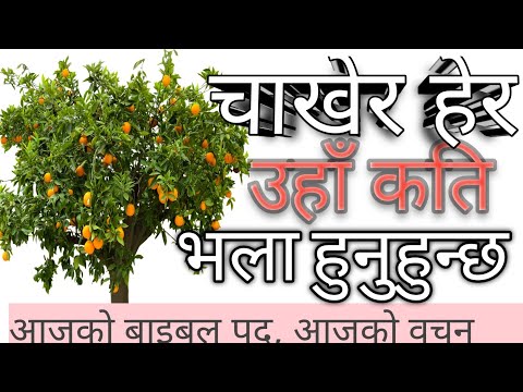 Aajako Bible Pad|Aajako Bachan-Aug 12|Chakher Hera|Psalm 34:8