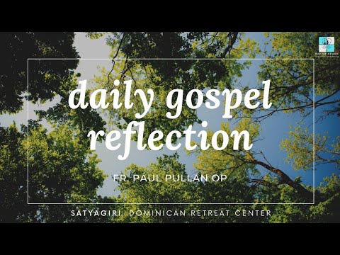 Jn 16: 16-20 |  Our Lady of Fatima | Fr. Paul Pullan OP | Dominican Retreat Center I
