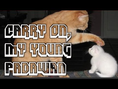 Carry On, My Young Padawan (2 Timothy 1:1-14)
