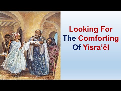 Looking For The Comforting Of Yisra’ěl - St Luke 2:1-52