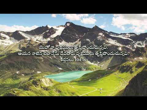 Live for GOD'S glory || దేవుని మహిమ పరచుటకు జీవించుట || Psalms 104:16