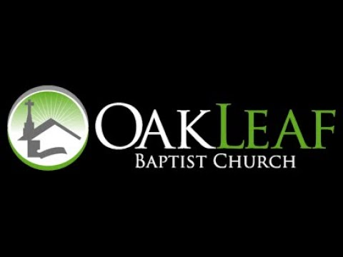 Revelation 6:9-1  I  Opening the Sealed Scroll 2  I June 7, 2020  I  Dr Robert Ball  I  Oakleaf Bapt