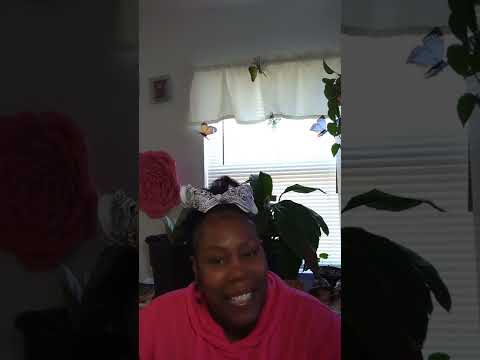 Inspirational Bible Challenge Day 223/ Ruth 1:1-10 The Story Of Ruth & Boaz #bible #ruth #boaz