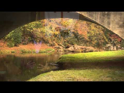 FLBC Daily Devotion Jeremiah 32:41