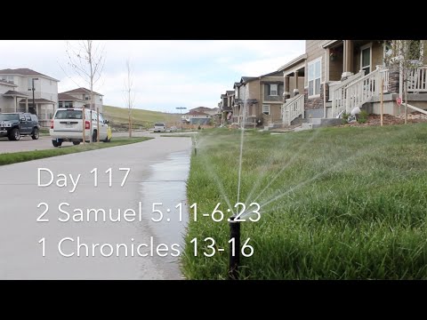 Day 117: 2 Samuel 5:11-6:23; 1 Chronicles 13-16 TOTALLY OUT OF MY COMFORT ZONE!