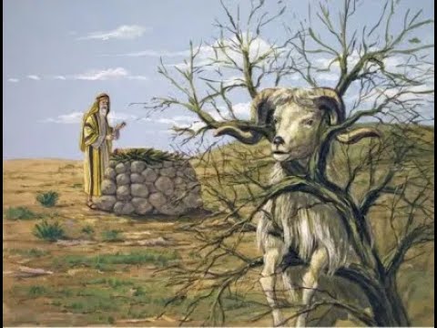 Dr. William L. Randall Jr. (Daddy's Ram in the Bush) (Genesis 22:13)