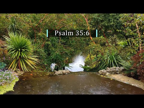 God's Word Daily - 06 Feb 2022 | Psalm 35:6