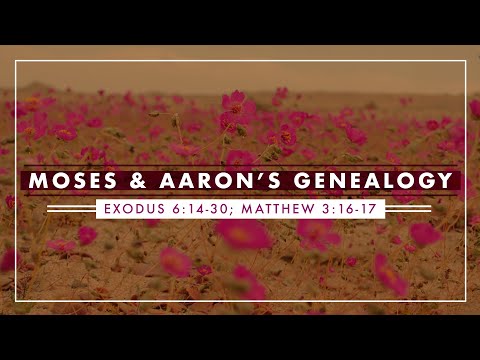 Moses and Aaron's Genealogy | Exodus 6:14-30; Matthew 3:16-17