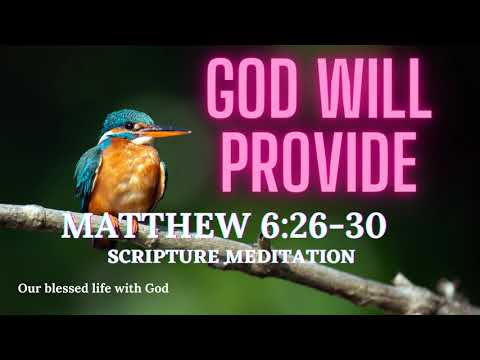 #075 - God Will Provide (Matthew 6:26-30)  Scripture Meditation/Music