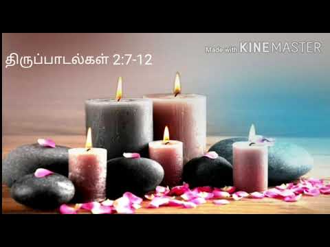திருப்பாடல்கள் 2:7-12 || thirupadalgal 2:7-12 || Psalms 2:7-12 || சங்கீதம்   2:7-12 ||