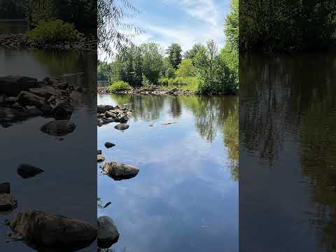 1001. Coffee Break (express) Colossians 1:6