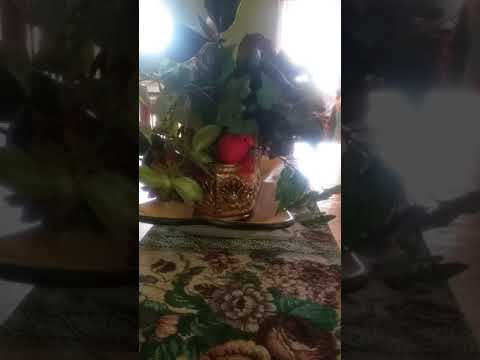 God's Word...Ezekiel 12:18????????