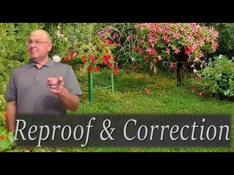 Proverbs 17:10 Reproof or Correction