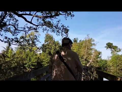 Song of Solomon 2:11-12 the winter past the flowers appears on the earth