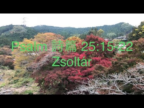 Psalm 25:15-22 Zsoltár Japanese