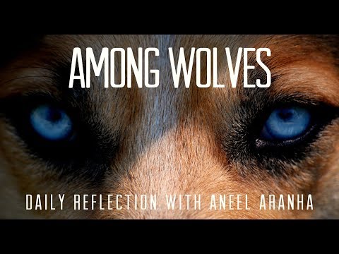 Daily Reflection With Aneel Aranha | Matthew 10:16-23 | July 12, 2019