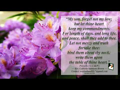My Son Forget Not Proverbs 3:1-3 Rev. Cedricka Simmons-Brown