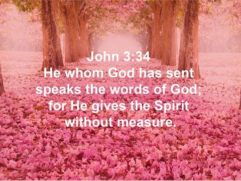 John 3:34 (Promise)