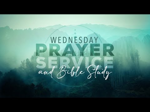 Who Am I  BBC 8/21/22 Exodus 3:1-15
