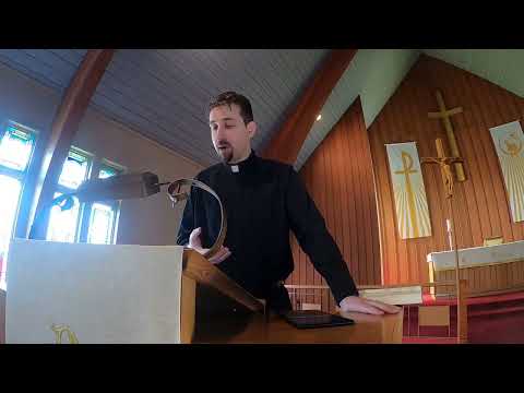 Job 39:5-8 Vocation to the Creation