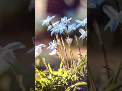 The goodness of our God. Philippians 3:8‭-‬10 