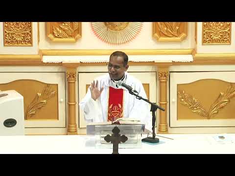 Homily | Luke 4:38-44