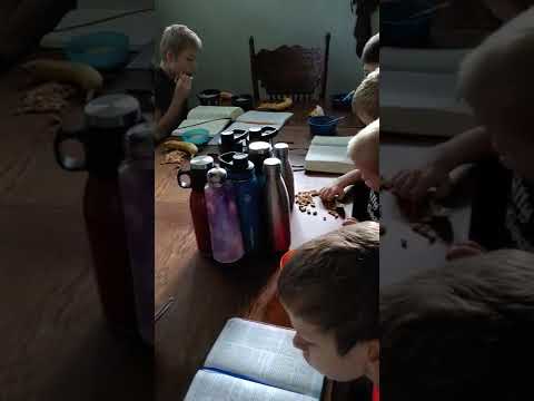 Luke 7:31-35 Bible Reading