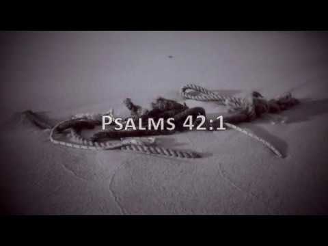 Psalms 42:1, Holy Bible, NIV