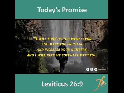 Today's Promise (Leviticus 26:9) English