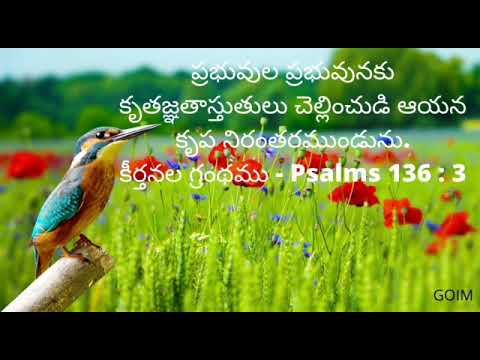 Memory Verse from BIBLE  -  కీర్తనల గ్రంథము -  Psalms 136 :  3