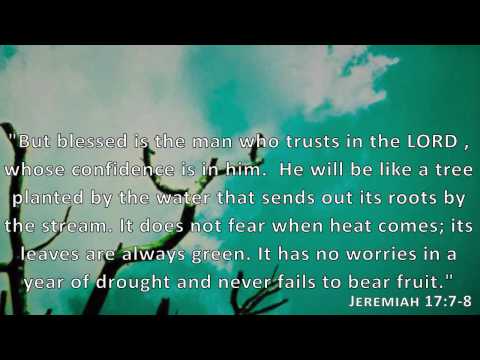 Jeremiah 17:7-8, Holy Bible, NIV
