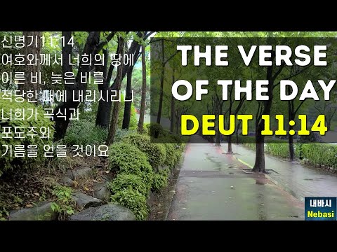 August 31 l Sound of Raindrops l Scripture of the Day : Deuteronomy 11:14 Early Rain Later Rain