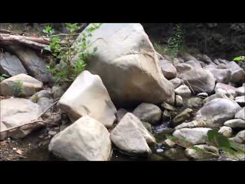 Ecclesiastes 7:5-7 | Adventure Nate