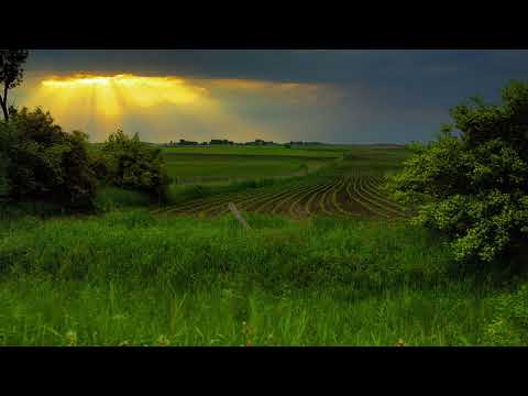 Scripture Verse By Verse (5) Jeremiah 20:10-18