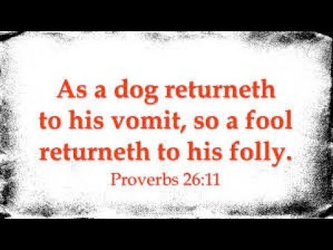 Bible Study - Proverbs 26 - FULL - "Dark Sayings" - The Curse Causeless Shall Not Come - Matthew 7:2