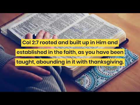 1031. Christ is the true wisdom (Job 28:12-13)