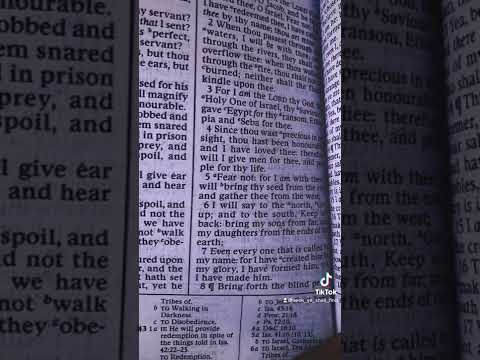 Left Out? ???? What Isaiah 43:5-6-7 Has To Say About That ???? Bible Scripture ✨????