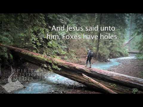 Luke 9:58 - And Jesus said unto him, Foxes have holes, and birds of the air - Bible Verses
