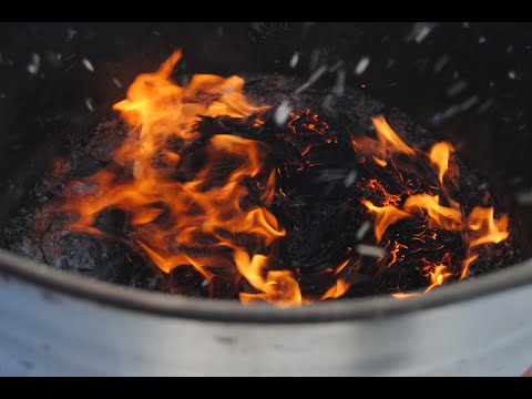 OT: Leviticus 4:25-26