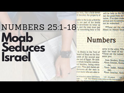 NUMBERS 25:1-18 MOAB SEDUCES ISRAEL (S14 E25)