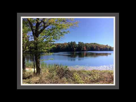 Coffee Break (5 Minutes with God) Psalm 35:12-14