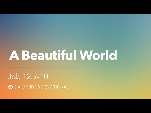 A Beautiful World | Job 12:7-10 | Our Daily Bread Video Devotional
